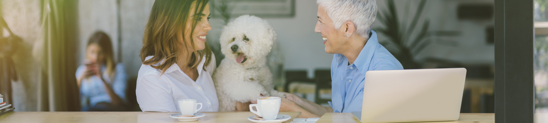 iStock-604380432.jpg